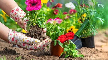 How Gardening Makes You Healthier