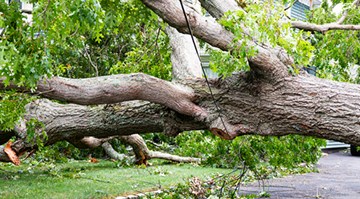 Support for QualChoice Members Impacted by Recent Tornadoes