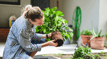 Gardening for Good Health